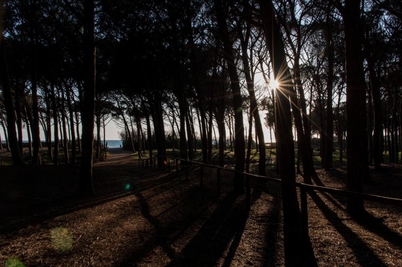 Appartamento Il Bucaniere A Marina Di Cecina Bagian luar foto